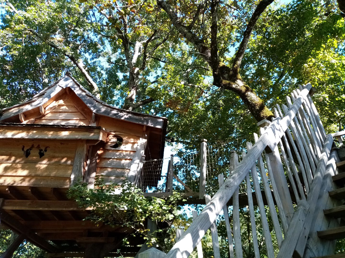 La Cabane Perchée
